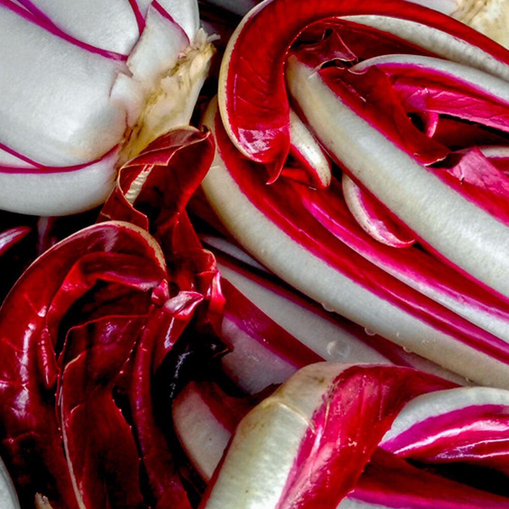 ristorante treviso radicchio di treviso