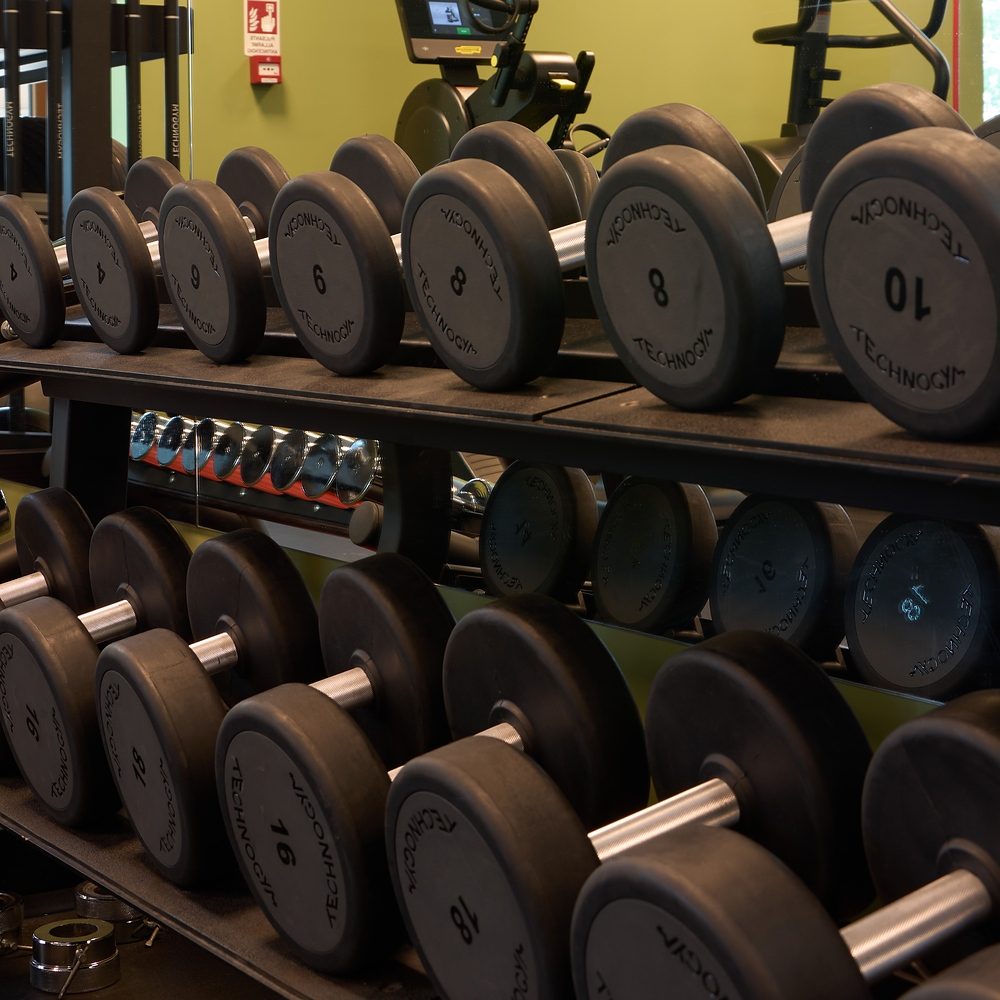 Rastrelliera con manubri Technogym nella palestra di Treviso