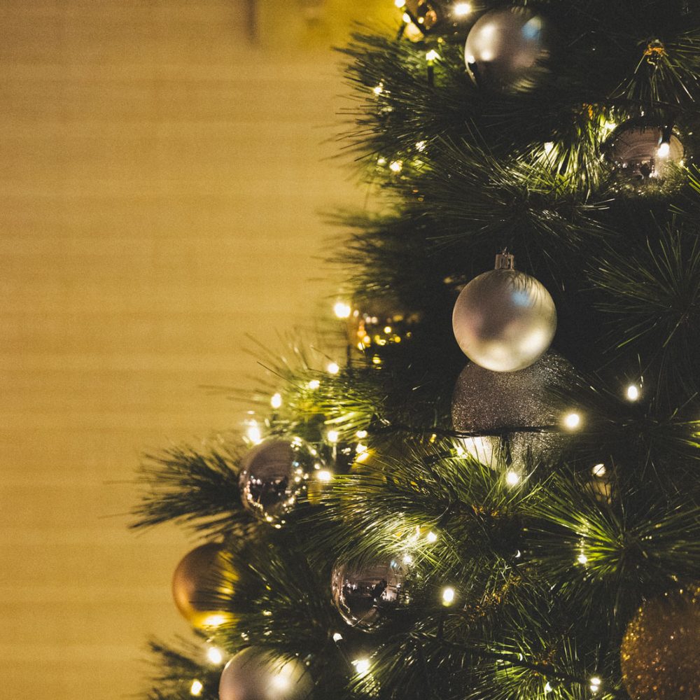 cena aziendale di natale a treviso Ristorante Panatta